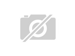 Wir suchen dringend für Holland und Belgien